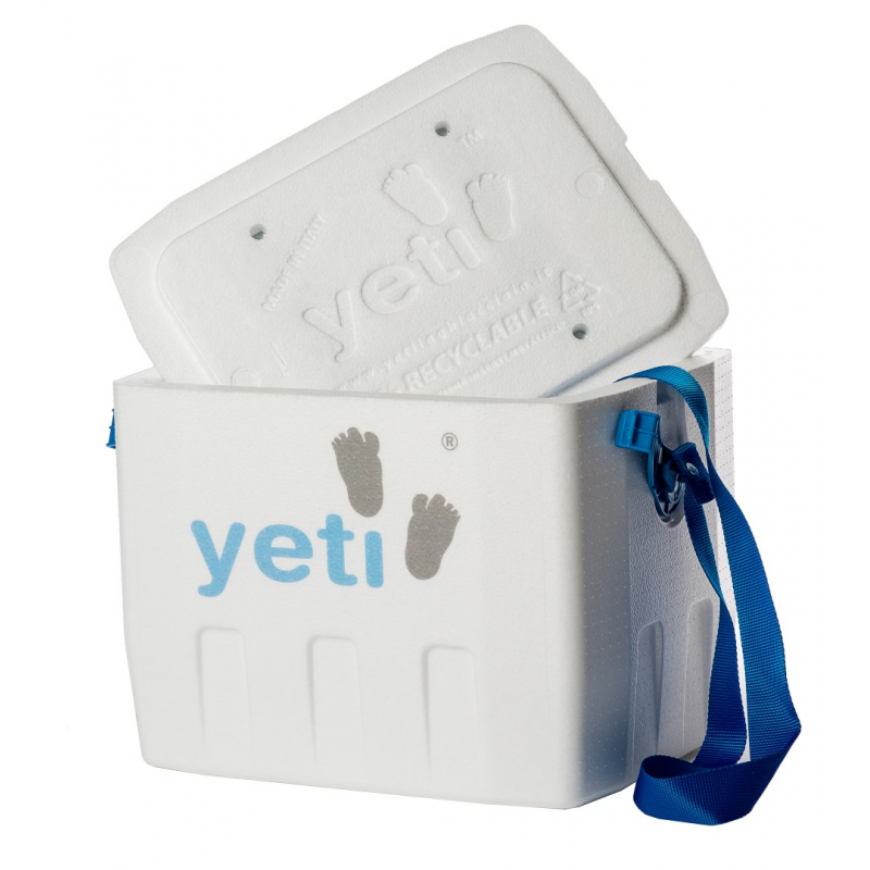Yeti White Large with in gift Yeti White Small Portable refrigerator