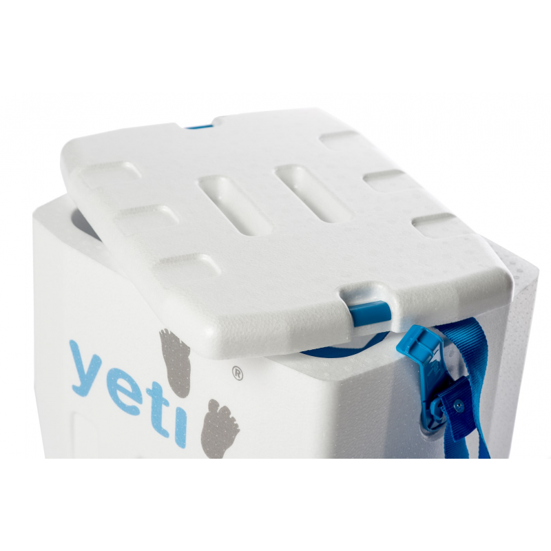 Yeti White Large with in gift Yeti White Small Portable refrigerator